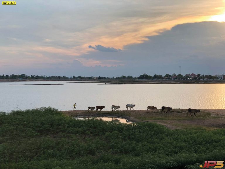ภาพบ้านนา ก่อนตะวันจะตกดิน